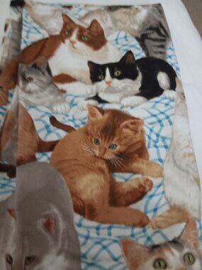 43x68 fabric with kitties cotton